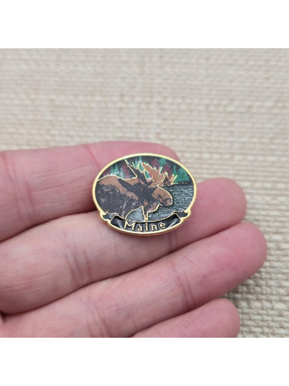 Vintage Maine Moose Enamel Lapel Pin A9113